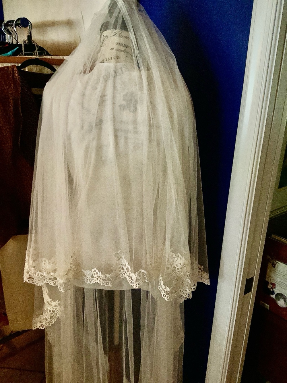 Cathedral Bridal Lace Edge Veil - Ivory - Picture 2 of 7